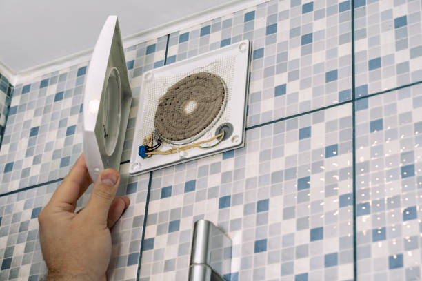 Best Air Duct Mold Removal  in Los Altos, CA