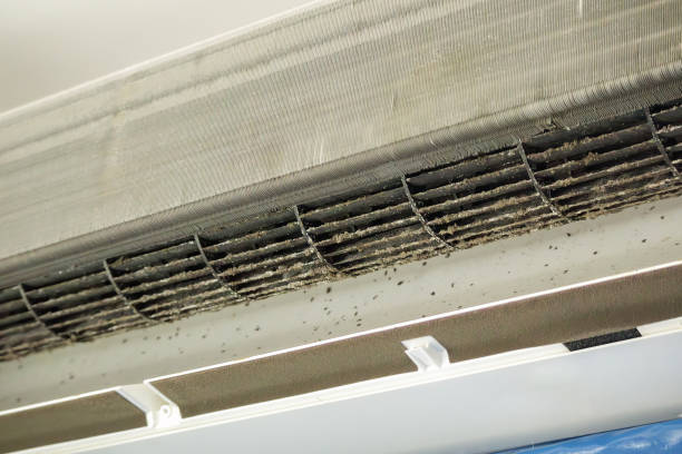 Best Affordable HVAC Duct Cleaning  in Los Altos, CA